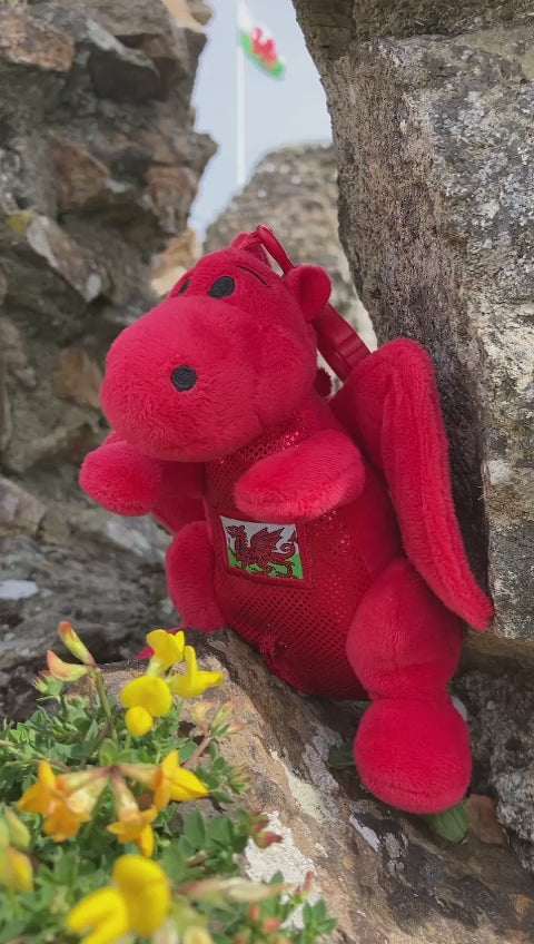 Celt - Draig bach Coch Cymru (canu'r anthem)