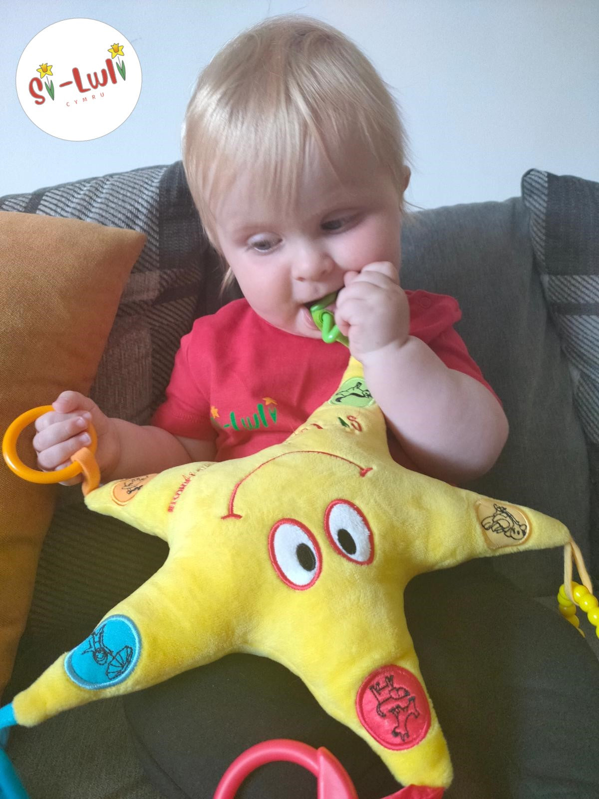 Baby chewing Seren Swynol Welsh toy.