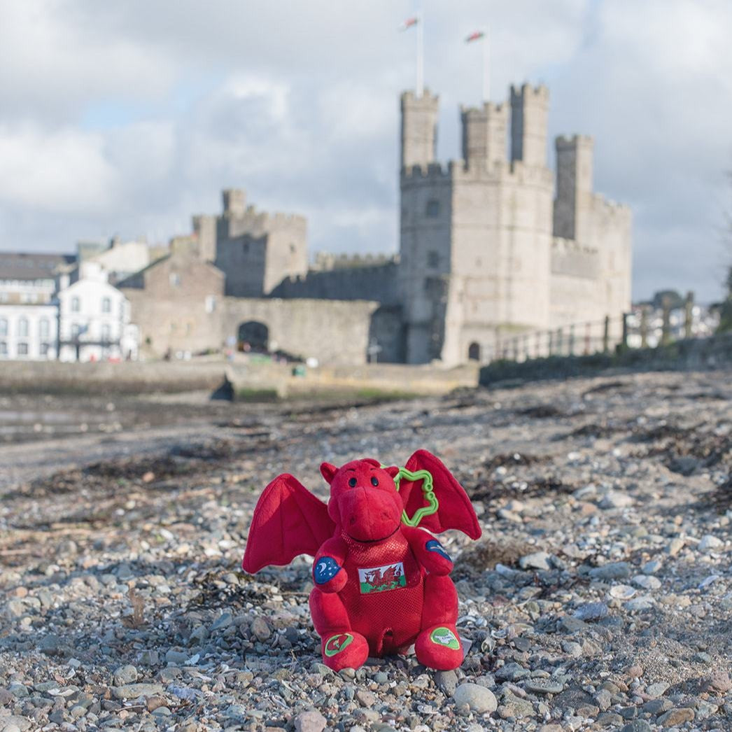 Welsh dragon toy on Caernarfon beach with Caernarfon castle backdrop.
