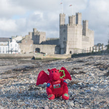 Load image into Gallery viewer, Welsh dragon toy on Caernarfon beach with Caernarfon castle backdrop.
