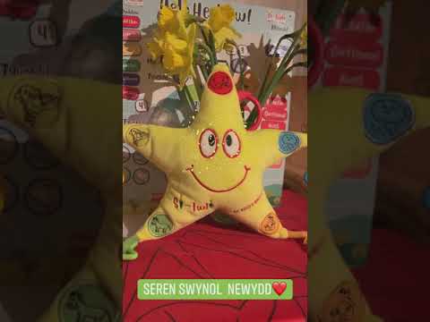 Video of Seren Swynol the welsh singing toy for babies and children.