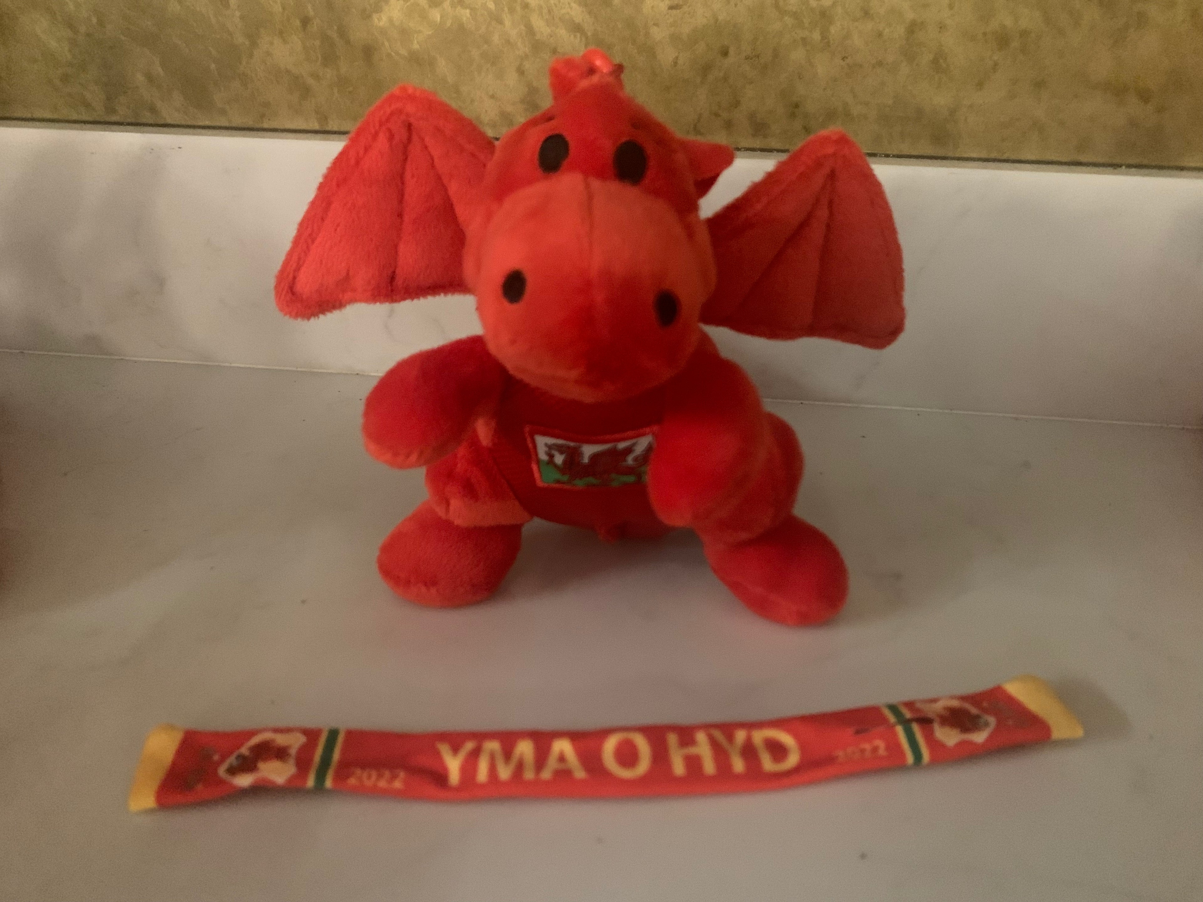 Celt - Draig bach Coch Cymru (canu'r anthem)