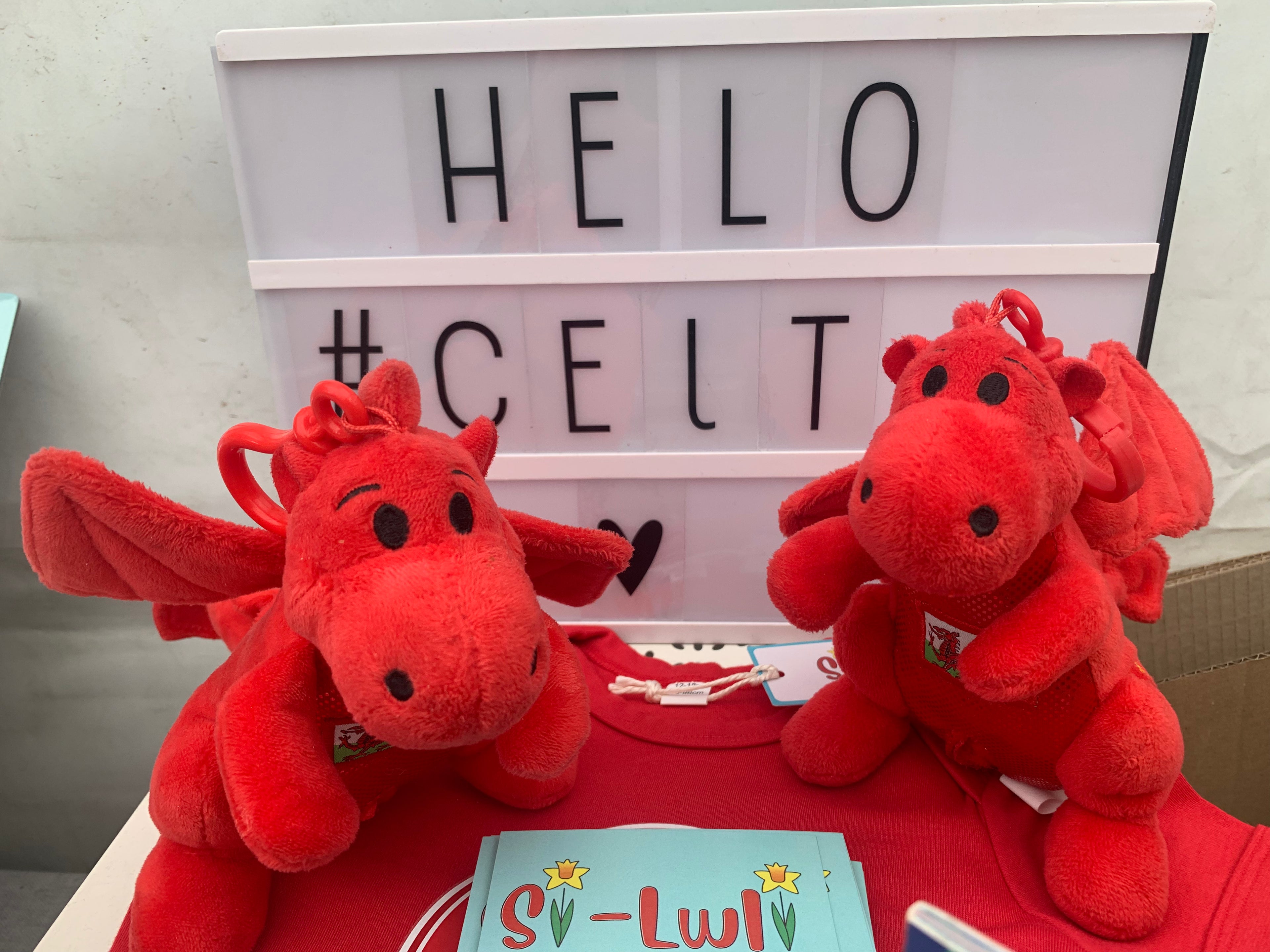 Celt - Draig bach Coch Cymru (canu'r anthem)