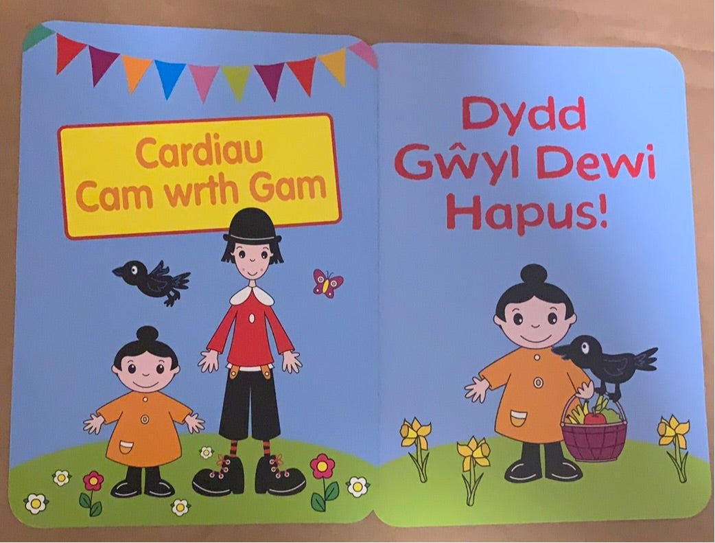 Cardiau Cam Wrth Gam - Sali Mali